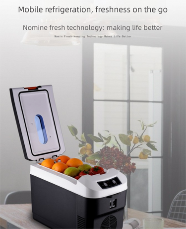 10L Portable Electric Cooler & Warmer Car Fridge with Digital Display 12V/240V Dual Power for Camping Road Trips & Home Office Brown