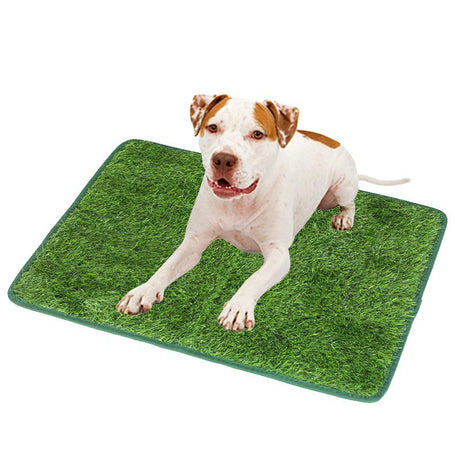 M Size Realistic Artificial Grass Dog Potty Pad - Indoor/Outdoor Pet Training Turf, Easy to Clean PE & TPR Material