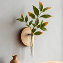 Wall-Mounted Hydroponic Plant Test TubeFlower Pot for Indoor Plants & Cuttings