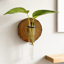 Wall-Mounted Hydroponic Plant Test TubeFlower Pot for Indoor Plants & Cuttings