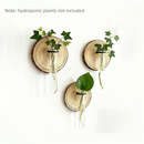 3-Pack Wall-Mounted Hydroponic Plant Test TubeFlower Pot for Indoor Plants & Cuttings