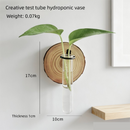 3-Pack Wall-Mounted Hydroponic Plant Test TubeFlower Pot for Indoor Plants & Cuttings