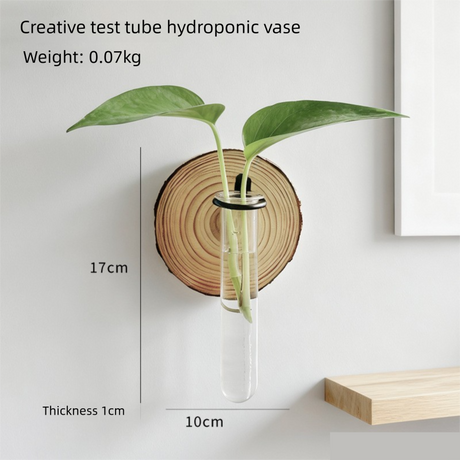 3-Pack Wall-Mounted Hydroponic Plant Test TubeFlower Pot for Indoor Plants & Cuttings