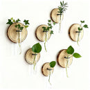 6-Pack Wall-Mounted Hydroponic Plant Test TubeFlower Pot for Indoor Plants & Cuttings