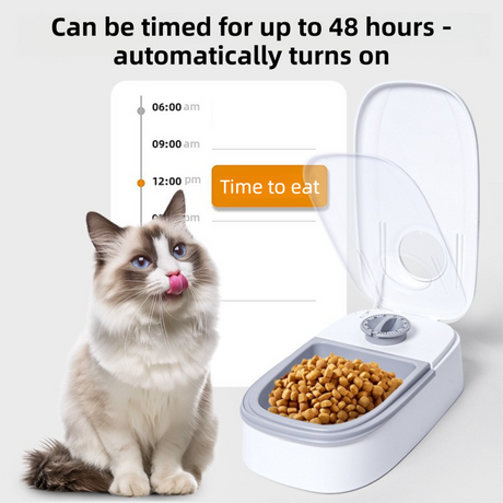 Grey Silent Automatic Pet Double Meal Dispenser with Rotary Buckle - Longest 48H Scheduled and Long Battery Life, Detachable for Easy Cleaning