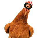 Green Pet Chicken Helmet Set of 3 – Protective Headgear for Chicks, Hens, and Birds