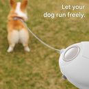 Pink Retractable Dog Leash with Luminous Rope 3M Anti-Tangle Automatic Extension Pet Walking Rope for Small to Medium Dogs Comfortable Grip and Lightweight Wrist Strap for Night Walks