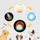 Purple and green Squeaky Dog Balls - 2-Pack Durable TPR Chew Toys for Puppies and Adult Dogs - Interactive Fetch and Training Ball with Teething Texture - Safe and Non-Toxic Daily Play Solution