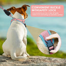 S Size Orange Waterproof Reflective Saddle-Style Dog Harness & 1.5M Leash Set - Breathable Anti-Choke Escape-Proof Step-In Walking Gear