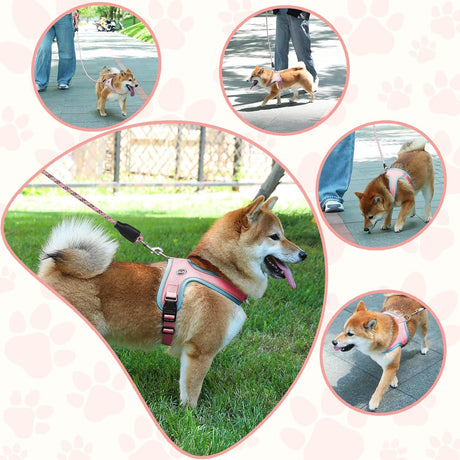 L Size Pink Waterproof Reflective Saddle-Style Dog Harness & 1.5M Leash Set - Breathable Anti-Choke Escape-Proof Step-In Walking Gear