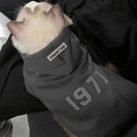2-Pack S sizeTrendy Pet Hoodie with 