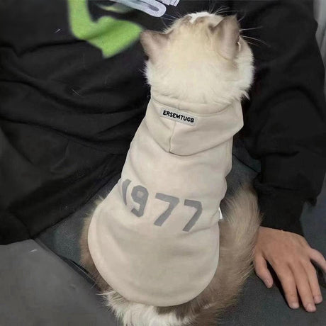 2-Pack XL sizeTrendy Pet Hoodie with 