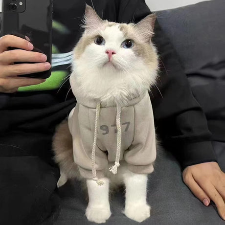 2-Pack XL sizeTrendy Pet Hoodie with 