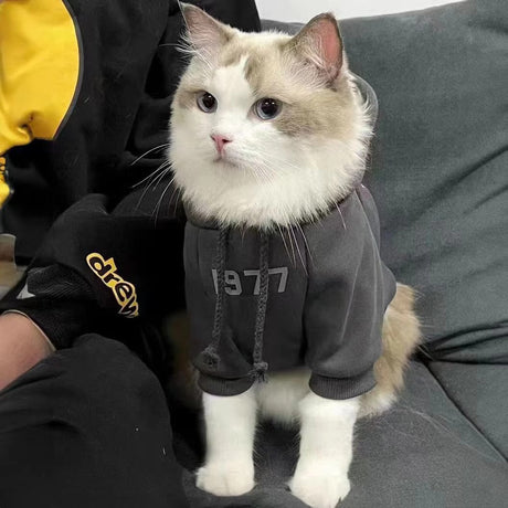 2-Pack 2XL sizeTrendy Pet Hoodie with 