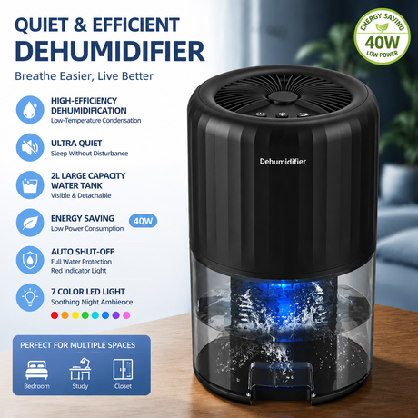 Black Portable Home Quiet Mini Dehumidifier - 2L Large Visible Water Tank, 7-Color Sleep Aid Night Light, Air Purification, Auto Shut-Off and 40W Low Power for Bedroom Studies and Closet (5–70m²)