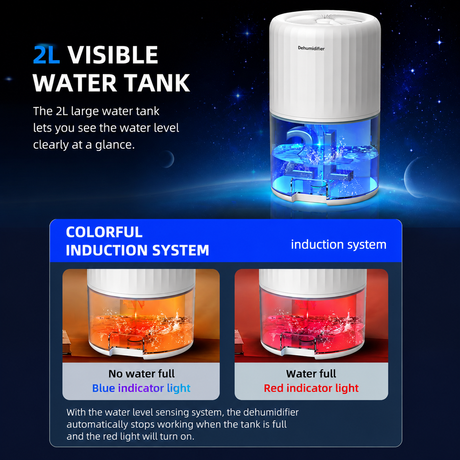 Black Portable Home Quiet Mini Dehumidifier - 2L Large Visible Water Tank, 7-Color Sleep Aid Night Light, Air Purification, Auto Shut-Off and 40W Low Power for Bedroom Studies and Closet (5–70m²)