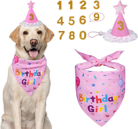 Pink Pet Birthday Bandana and Hat Set - Soft Cotton, Double-Sided Print, Adjustable Party Hat with Number - Cute Dog Birthday Accessories for Photo Props and Celebration
