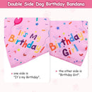 Pink Pet Birthday Bandana and Hat Set - Soft Cotton, Double-Sided Print, Adjustable Party Hat with Number - Cute Dog Birthday Accessories for Photo Props and Celebration