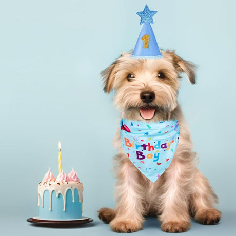 Pink Pet Birthday Bandana and Hat Set - Soft Cotton, Double-Sided Print, Adjustable Party Hat with Number - Cute Dog Birthday Accessories for Photo Props and Celebration