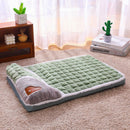 2-piece L size Green Pet Winter Comfort Bundle – 70*55cm Plush Pet Blanket and 60*40cm Thickened Pet Sleeping Bed Set for Dogs and Cats, Double-Sided Warm Blanket with Soft Plush Bed Cushion