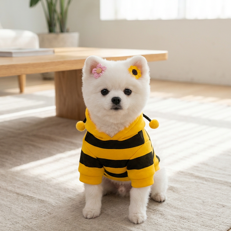 Size L Bee Fleece Hoodie Jumper for Small Dogs & Cats with 5 Hair Clips - Winter Warm Pet Apparel Australia