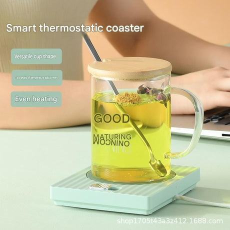 Green Coffee Mug Warmer Set with Glass Mug and Lid USB Powered 13W Constant Temperature Heating Coaster Approx 45C for Office Home Gift Use