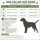Black Tactical Dog Collar and Bungee Lead Set (L size) - Padded Quick Release Collar with Control Handle and Shock Absorbing Leash for Medium and Large Dogs