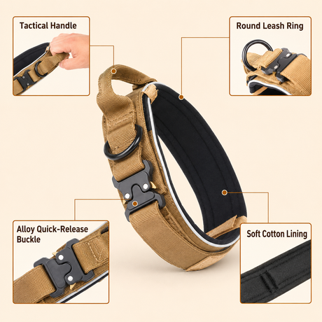 Blue Tactical Dog Collar for Large Dogs (M size)- Wide Padded Nylon Collar with Quick Release Metal Buckle, Control Handle and D-Ring for Walking and Training