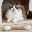 Felt Catnip Cat Toy Stick for Cats, 2 Pack 10cm Interactive Chew and Play Toys for Indoor Cats