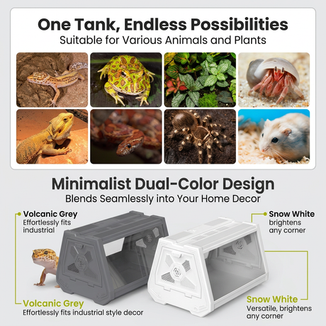 Grey Desktop Reptile Terrarium Enclosure 35X25.5X22cm with Double Door Opening and Ventilation for Small Reptiles, Amphibians and Plants