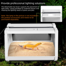 Grey Desktop Reptile Terrarium Enclosure 35X25.5X22cm with Double Door Opening and Ventilation for Small Reptiles, Amphibians and Plants