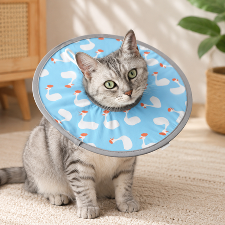 Blue Duck Soft Waterproof Elizabethan Collar for Cats & Dogs M Size - Adjustable Anti-Licking Recovery Cone After Surgery Soft Waterproof Elizabethan Collar for Cats & Dogs M Size - Adjustable Anti-Licking Recovery Cone After Surgery