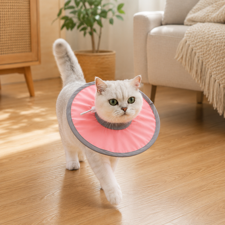 Pure Pink Soft Waterproof Elizabethan Collar for Cats & Dogs S Size - Adjustable Anti-Licking Recovery Cone After Surgery