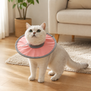 Pure Pink Soft Waterproof Elizabethan Collar for Cats & Dogs L Size - Adjustable Anti-Licking Recovery Cone After Surgery Soft Waterproof Elizabethan Collar for Cats & Dogs L Size - Adjustable Anti-Licking Recovery Cone After Surgery