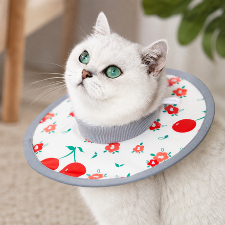 Red Cherry Soft Waterproof Elizabethan Collar for Cats & Dogs M Size - Adjustable Anti-Licking Recovery Cone After Surgery Soft Waterproof Elizabethan Collar for Cats & Dogs M Size - Adjustable Anti-Licking Recovery Cone After Surgery