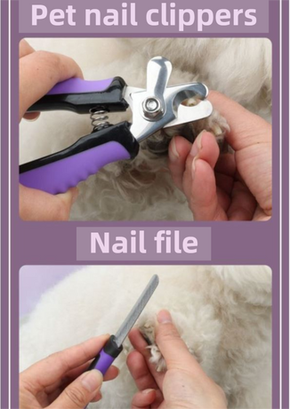 Pet Grooming & Cleaning Kit 9 Piece Set with Shedding Brush, Steel Comb + Scissors, Nail Clippers + File, Bath Brush + Massage Glove, 3 Head Toothbrush and Storage Bag for Dog & Cat