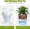 3 Pack White Indoor Self Watering Planter Pot - 6 Inch Double Layer Rempvable Plastic Flower Pot with Extra Large Water Storage and Cotton Rope for All House Plants, Flowers, Herbs