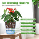 Grey Indoor Self Watering Planter Pot - 6 Inch Double Layer Rempvable Plastic Flower Pot with Extra Large Water Storage and Cotton Rope for All House Plants, Flowers, Herbs