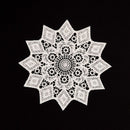 5.5 Inch Geometric Embroidered Lace Coaster (10 Pack) - Elegant Round Dining & Tea Table Mat Doily, Chestnut Leaf Style