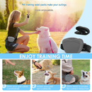 Green Silicone Dog Training Treat Pouch - Magnetic Closure, Adjustable Waist Belt, Portable Pet Snack Bag for Walking and Obedience Training