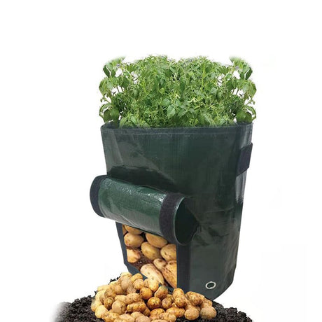 2 PCS Potato Growing Bags 23 x 28cm – Durable PE Planting Containers with Side Harvest Window for Vegetables, Tomatoes and Home Garden Use