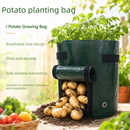 4 PCS Potato Growing Bags 23 x 28cm – Durable PE Planting Containers with Side Harvest Window for Vegetables, Tomatoes and Home Garden Use
