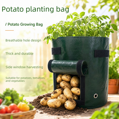 4 PCS Potato Growing Bags 23 x 28cm – Durable PE Planting Containers with Side Harvest Window for Vegetables, Tomatoes and Home Garden Use