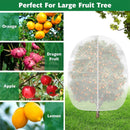 Fruit Tree Netting Cover with Zipper (300x300cm)- Plastic Mesh Bird and Insect Protection for Citrus, Blueberries, Vegetables, Garden Harvest Saver
