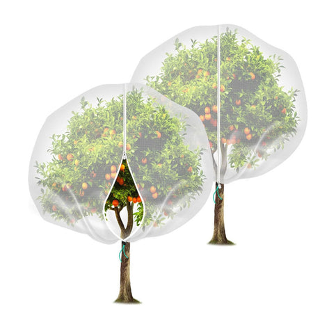 Fruit Tree Netting Cover with Zipper (245x245cm)- Plastic Mesh Bird and Insect Protection for Citrus, Blueberries, Vegetables, Garden Harvest Saver