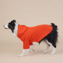 Orange Classic Dog Sweatshirt with Hood & Drawstrings - For Large Dogs (Size : 4XL)