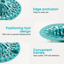 Living Today 2PC Drain Cover