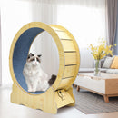 Cat Running Wheel Cat Running Wheel Ultra-Quiet Treadmill Exerciser Scratcher with Anti-Slip Carpet Detachable Runway and Safety Latch Cat Sport Runner Toy
