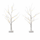 Jingle Jollys Lighted Branch Tree Christmas Decorations Warm White Christmas Lights 2 Pack 60cm