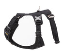 Whinhyepet Dog Harness - Black, XS-1962324894343630850